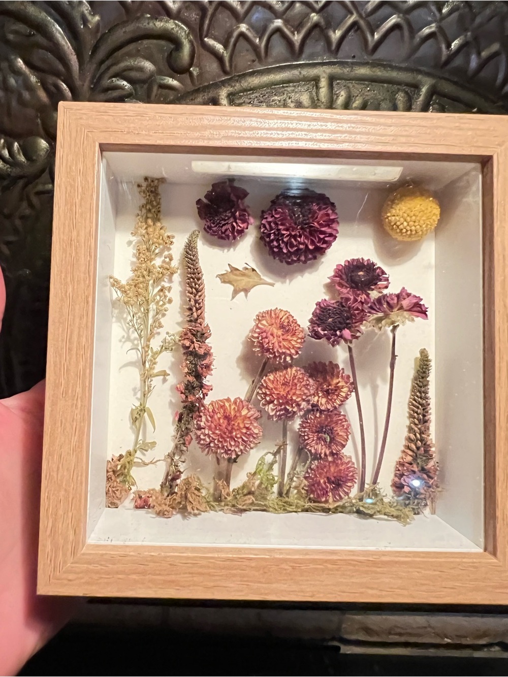 Framed Dried Floral Shadowbox - Natural Wood, Purple & Yellow